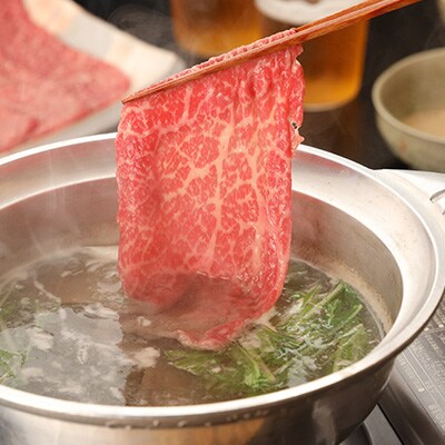 【高級】飛騨牛A5ランク サーロインしゃぶしゃぶ 500g【39-42】