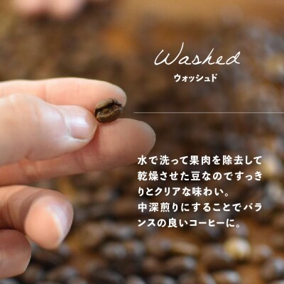 【自家用】「Kaung day」 ミャンマースペシャルティコーヒー ドリップ 30パック【98-3】