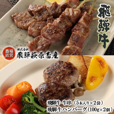 【父の日までにお届け】飛騨牛串焼き・飛騨牛ハンバーグセット【22-33f】