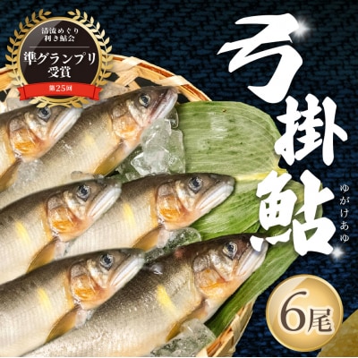 【先行受付】(2026年8月上旬頃から発送)弓掛鮎 6尾セット【107-1】