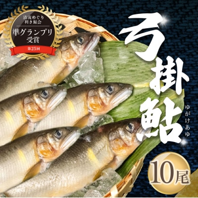 (2026年8月上旬頃から発送)弓掛の天然鮎 10尾セット【107-2】