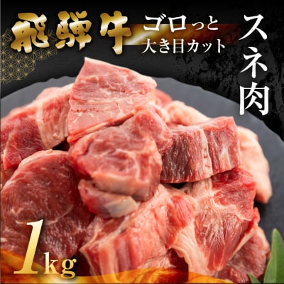 飛騨牛 煮込み用 スネ肉切り落とし 1kg(500g×2)【39-40】