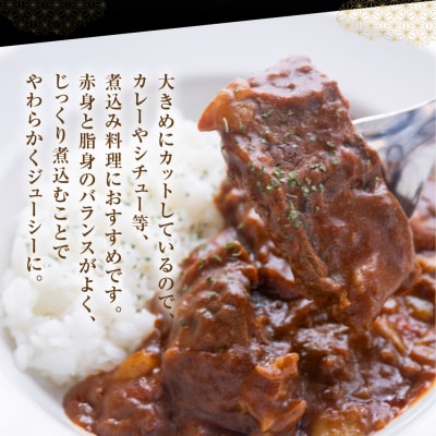 飛騨牛 煮込み用 スネ肉切り落とし 1kg(500g×2)【39-40】