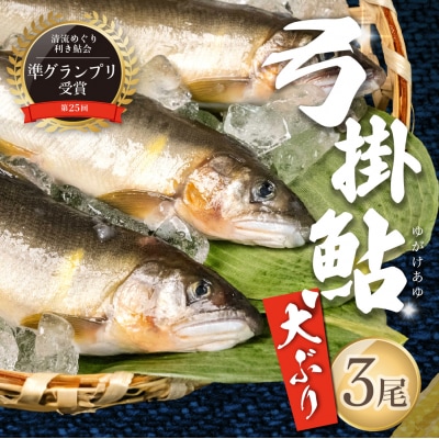 先行受付【期間限定】(2025年8月中旬頃から発送)弓掛鮎 3尾以上【107-4】