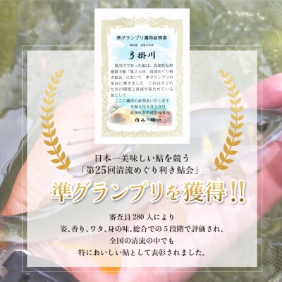 先行受付【期間限定】(2025年8月中旬頃から発送)弓掛鮎 3尾以上【107-4】