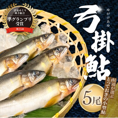 (2026年7月上旬頃から発送)弓掛鮎 5尾以上 鮎通が選ぶ小型の逸品【107-3】