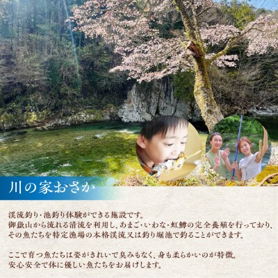 川魚 甘露煮味比べセット(3尾入り 2種類 各2袋)計12尾　あまご いわな 食べ比べ【108-3】