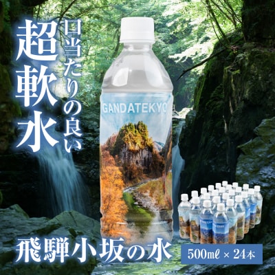 飛騨小坂の水(ナチュラルミネラルウォーター) 500ml×24本(1箱24本入り)【110-1】