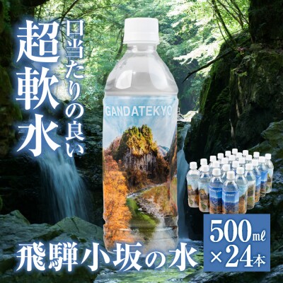 【先行受付】飛騨小坂の水(ナチュラルミネラルウォーター) 500ml×24本【110-1】