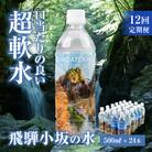【定期便 12回】飛騨小坂の水 500ml×24本(1箱24本入り)× 12カ月【110-C】