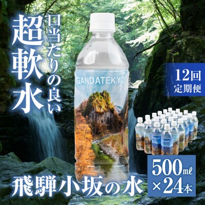 先行受付【定期便12回】飛騨小坂の水 500ml×24本(1箱24本入り)× 12カ月【110-C】