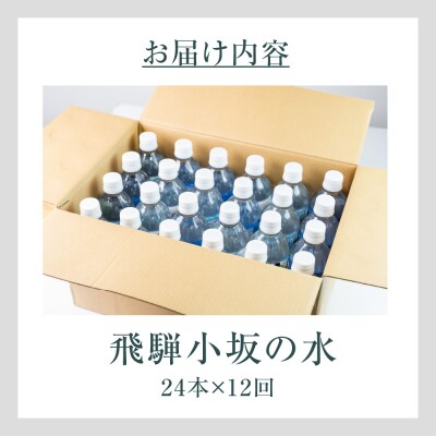 【定期便 12回】飛騨小坂の水 500ml×24本(1箱24本入り)× 12カ月【110-C】