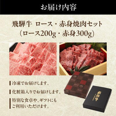 飛騨牛ロース・赤身焼肉セット(ロース200g・赤身300g)計 500g【冷凍配送】【22-44】