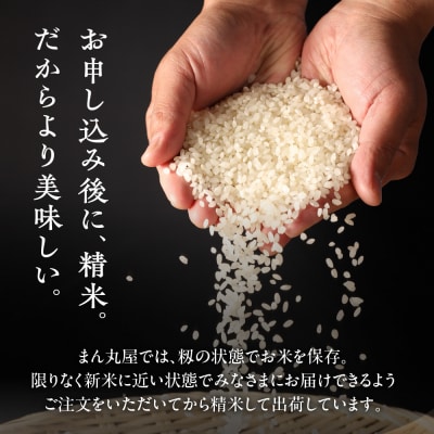 (2027年2月発送)【2026年産】銀の朏 2kg×1袋【13-11【2】】