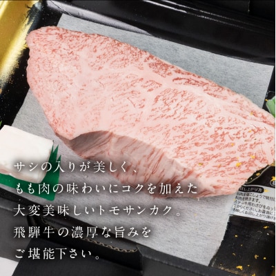 飛騨牛トモサンカクブロック500g 国産 牛肉 ブランド牛 ともさんかく【冷凍配送】【22-41】