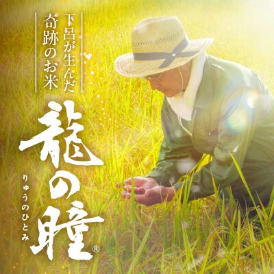 新米先行受付【2025年産】5kg×1 飛騨産・龍の瞳(いのちの壱)【14-14【2】】
