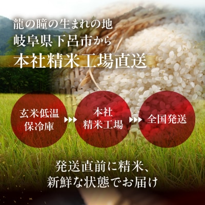 新米先行受付【2025年産】2kg×1 飛騨産・龍の瞳(いのちの壱)【14-11【11】】