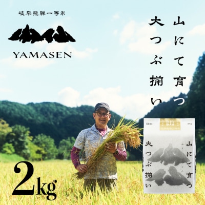 新米先行受付【令和7年産米】すがたらいす 山仙 (いのちの壱) 2kg×1袋【51-27】