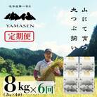 新米先行受付【令和7年産】【定期便】山仙(いのちの壱)2kg×4袋×6回 すがたらいす【51-V】