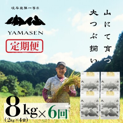 【令和7年産】【定期便】山仙(いのちの壱)2kg×4袋×6回 すがたらいす【51-V】