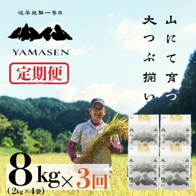 【令和7年産】【定期便】山仙(いのちの壱)2kg×4袋×3回 すがたらいす【51-R】