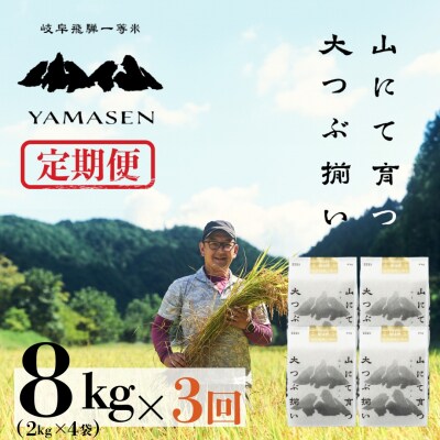 【令和7年産】【定期便】山仙(いのちの壱)2kg×4袋×3回 すがたらいす【51-R】