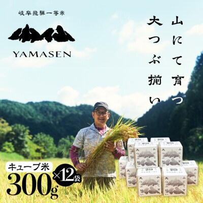 【令和7年産米】すがたらいす 山仙 (いのちの壱) キューブ米 12個【51-24】