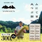 先行受付【令和7年産米】すがたらいす 山仙 (いのちの壱) キューブ米 6個【51-23】
