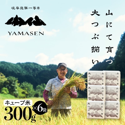 【令和7年産米】すがたらいす 山仙 (いのちの壱) キューブ米 6個【51-23】