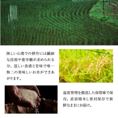 【令和7年産米】すがたらいす 山仙 (いのちの壱) キューブ米 6個【51-23】
