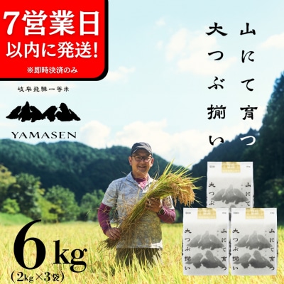 即納【令和7年産米】すがたらいす 山仙 (いのちの壱) 2kg×3袋(6kg)【51-29】