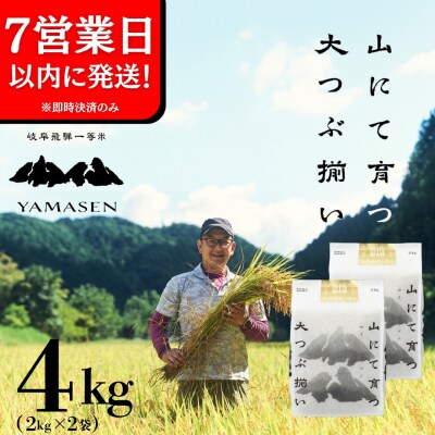 即納【令和7年産米】すがたらいす 山仙 (いのちの壱) 2kg×2袋(4kg)【51-28】