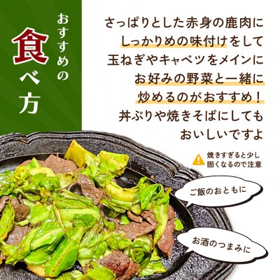 山命 下呂産 鹿肉のシカチャン 計700g(175g(約2～3人分)×4袋 【83-20】