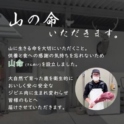 山命 下呂産 鹿肉のシカチャン 計700g(175g(約2～3人分)×4袋 【83-20】