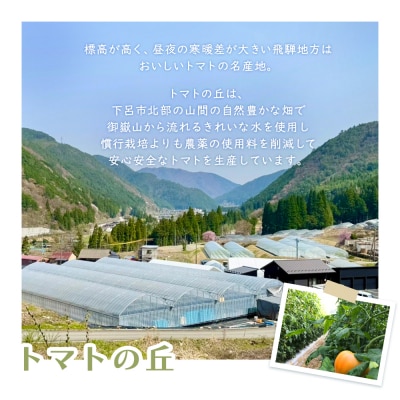 飛騨産 100% 無添加トマトジュース(1L×2本入り)ギフト 贈答【113-1】
