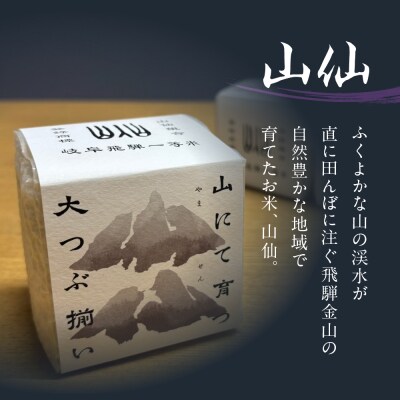 純米吟醸原酒 ひだほまれ55 720ml 1本・山仙キューブ米300g×3個セット【2-48】