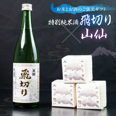 特別純米酒飛切り 720ml 1本・山仙キューブ米300g×3個セット【2-50】