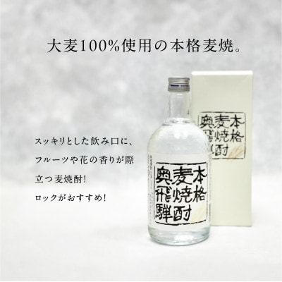 【遅れてごめんね 父の日】奥飛騨麦焼酎セット(本格麦・長期貯蔵)各720ml【16-18fo】