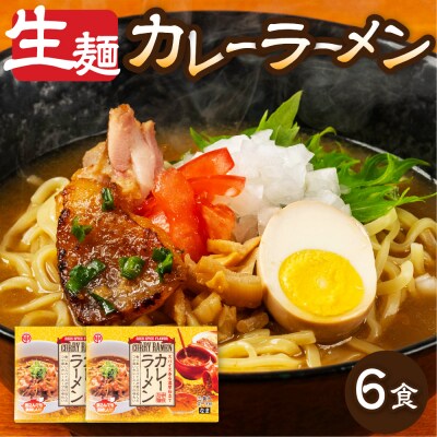 カレーラーメン 3食(100g×3 スープ付)×2箱 計6食 【丸中製麺所】【29-14】