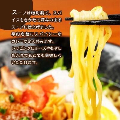 カレーラーメン 3食(100g×3 スープ付)×2箱 計6食 【丸中製麺所】【29-14】