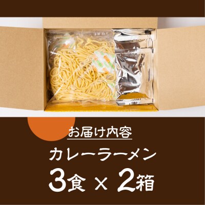 カレーラーメン 3食(100g×3 スープ付)×2箱 計6食 【丸中製麺所】【29-14】