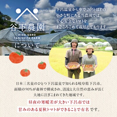 自家用≪有機JAS認証≫【飛騨産】トマトジュースセット(プレーン)180ml×30本【61-21】