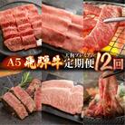 【定期便 12回】A5 飛騨牛 天狗 牛肉 ステーキ 焼肉 すきやき しゃぶしゃぶ【11-O】