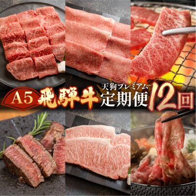 【定期便 12回】A5 飛騨牛 天狗 牛肉 ステーキ 焼肉 すきやき しゃぶしゃぶ【11-O】