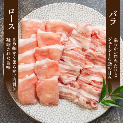 (受付終了)飛騨納豆喰豚ロース・ばらしゃぶしゃぶセット 計750g 豚肉【11-5(10)】
