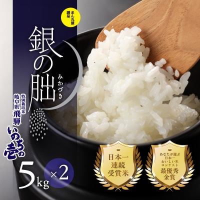 (2026年11月発送)新米【2026年産】銀の朏 5kg×2袋【13-33【11】】