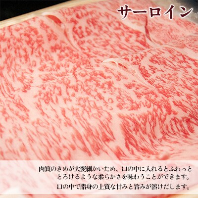 A5飛騨牛 サーロインすき焼き 730g【冷凍】ブランド牛【11-1007(12)】