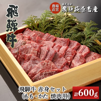 【家計応援 期間限定】飛騨牛赤身焼肉セット 計600g(もも300g・かた300g)【22-27g】