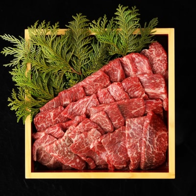 【家計応援 期間限定】飛騨牛赤身焼肉セット 計600g(もも300g・かた300g)【22-27g】