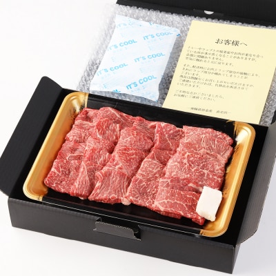 【家計応援 期間限定】飛騨牛赤身焼肉セット 計600g(もも300g・かた300g)【22-27g】